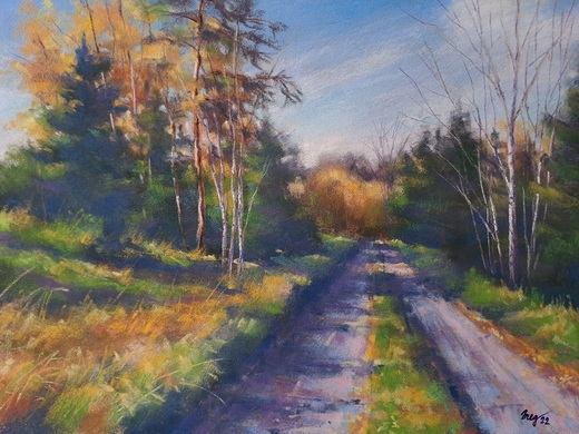 CESTA K LESU, suchý pastel 40x50cm,bílá pasparta,přírodní rám