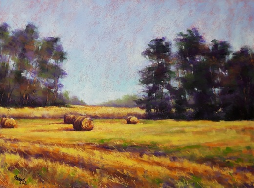 DOTEK LÉTA, suchý pastel 40x50cm, masivní rezavý rám