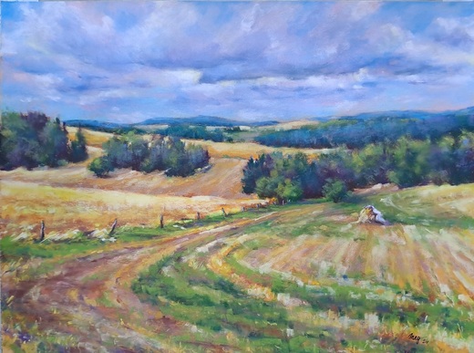 LETNÍ KRAJINOU, suchý pastel 40x50cm, krém.pasparta,přírodní rám