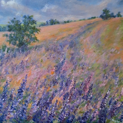 LUPINA NA KOPCI, olejomalba 50x50cm,nerámováno