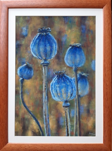 MAKOVICE, suchý pastel 34x46cm,bílá pasparta, rezavý rám