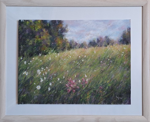 PROCHÁZKA LOUKOU, suchý pastel 40x50cm,bílá pasparta,přírod.rám