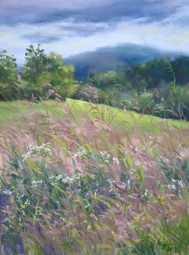 Rozkvetlé traviny.jpg