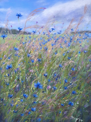 V CHRPÁCH, suchý pastel 30x40cm,bílá pasparta,přírodní rám