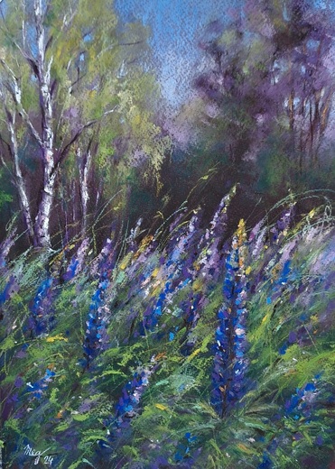 LOUKA S LUPINOU, suchý pastel 30x40cm,krém.pasparta, bílý rám