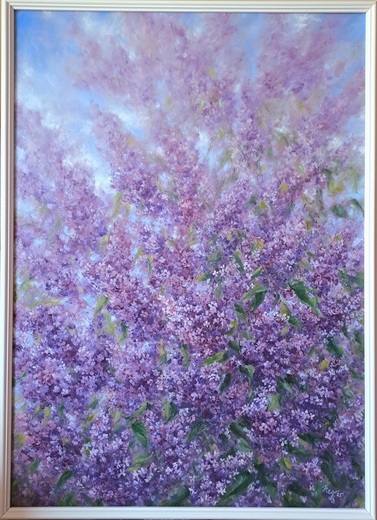 VŮNĚ ŠEŘÍKU, olejomalba 50x70cm, masivní bílý rám